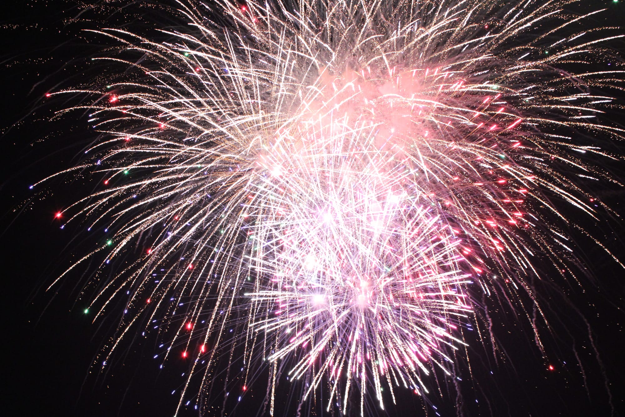A fireworks bursts lights the night sky with purple, pink and red sparks