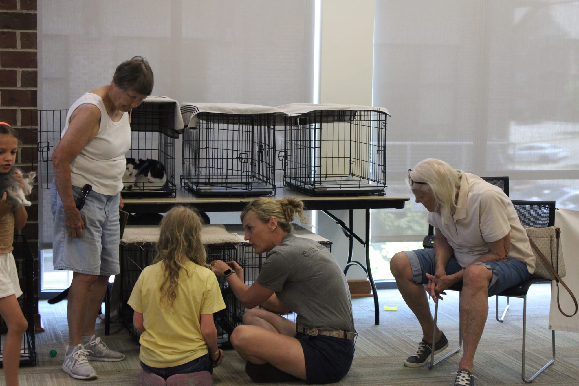 gela DelVecchio, center, talks about the cats available for adoption during the adoption event
