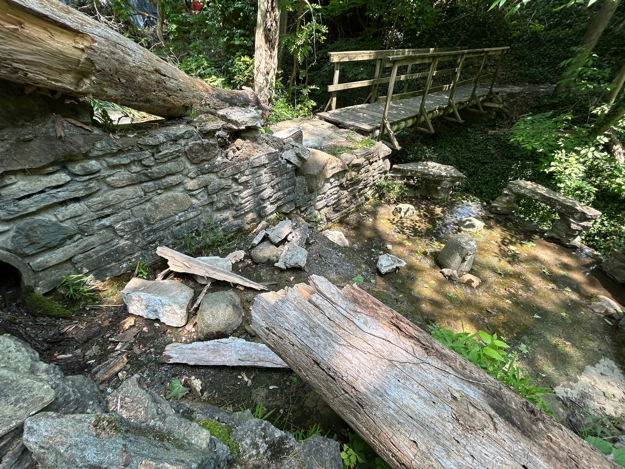 A treefall in the Silvoor Biological Sanctuary damaged a stone structure.