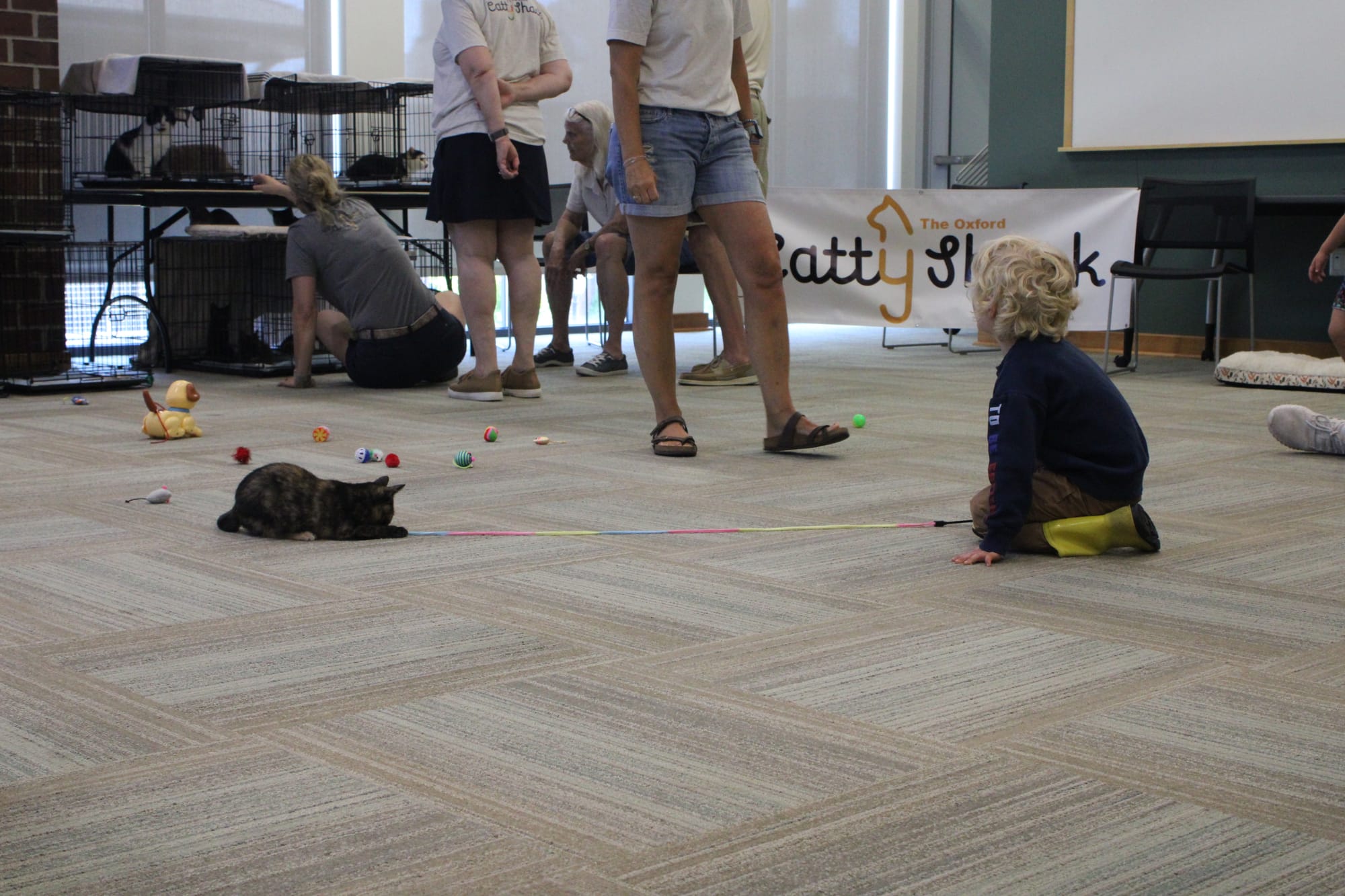 A young kid plays with a kitten at the Catty Shack