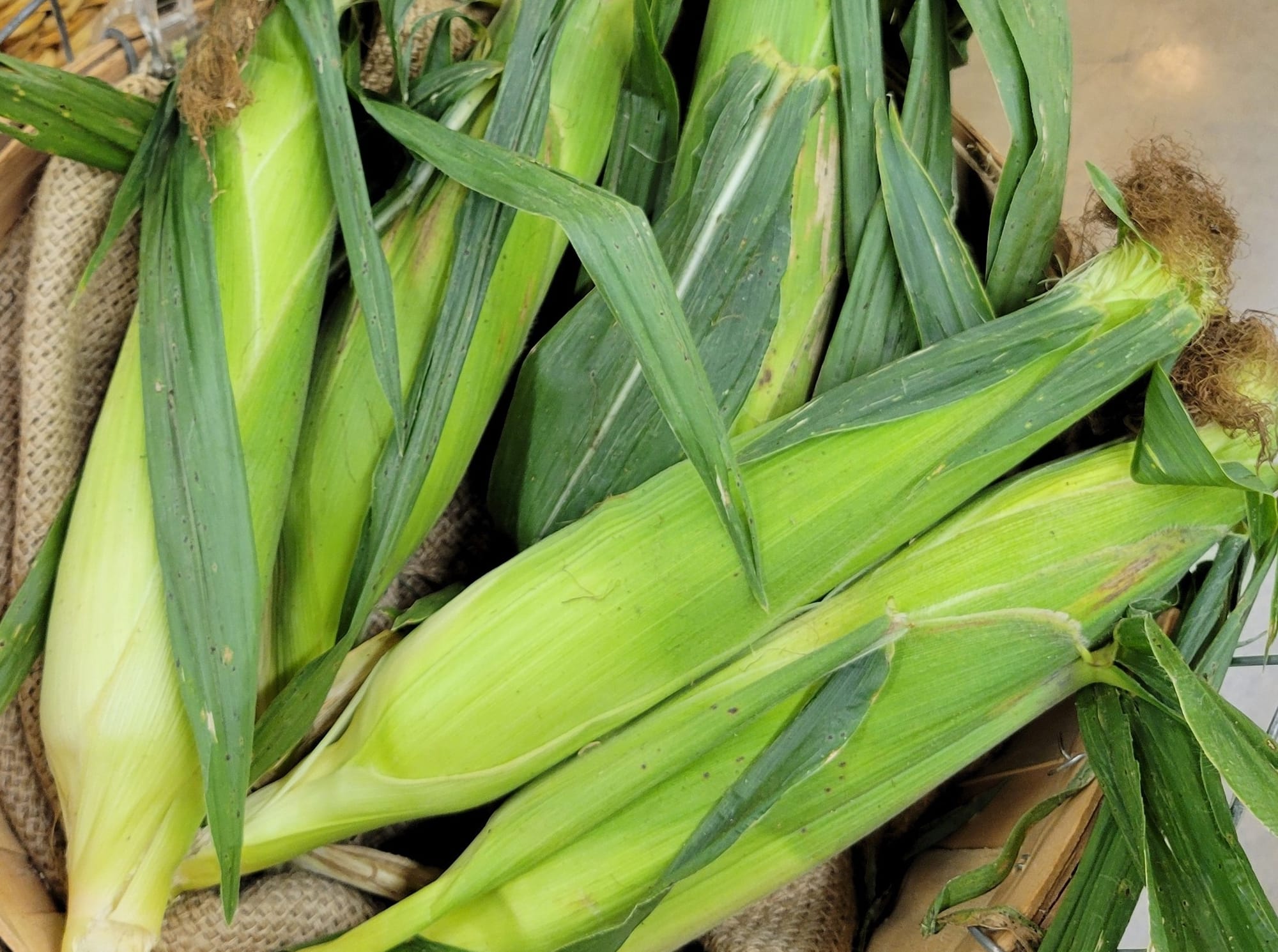 Most of the corn at the Oxford Farmers Market is not overly sweet, and is chewier with a more intense, “cornier” flavor