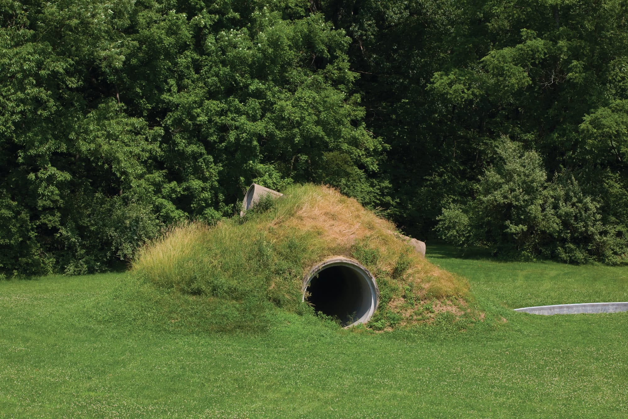 “Star-Crossed” by Nancy Holt. Photo provided by Sherri Krazl.