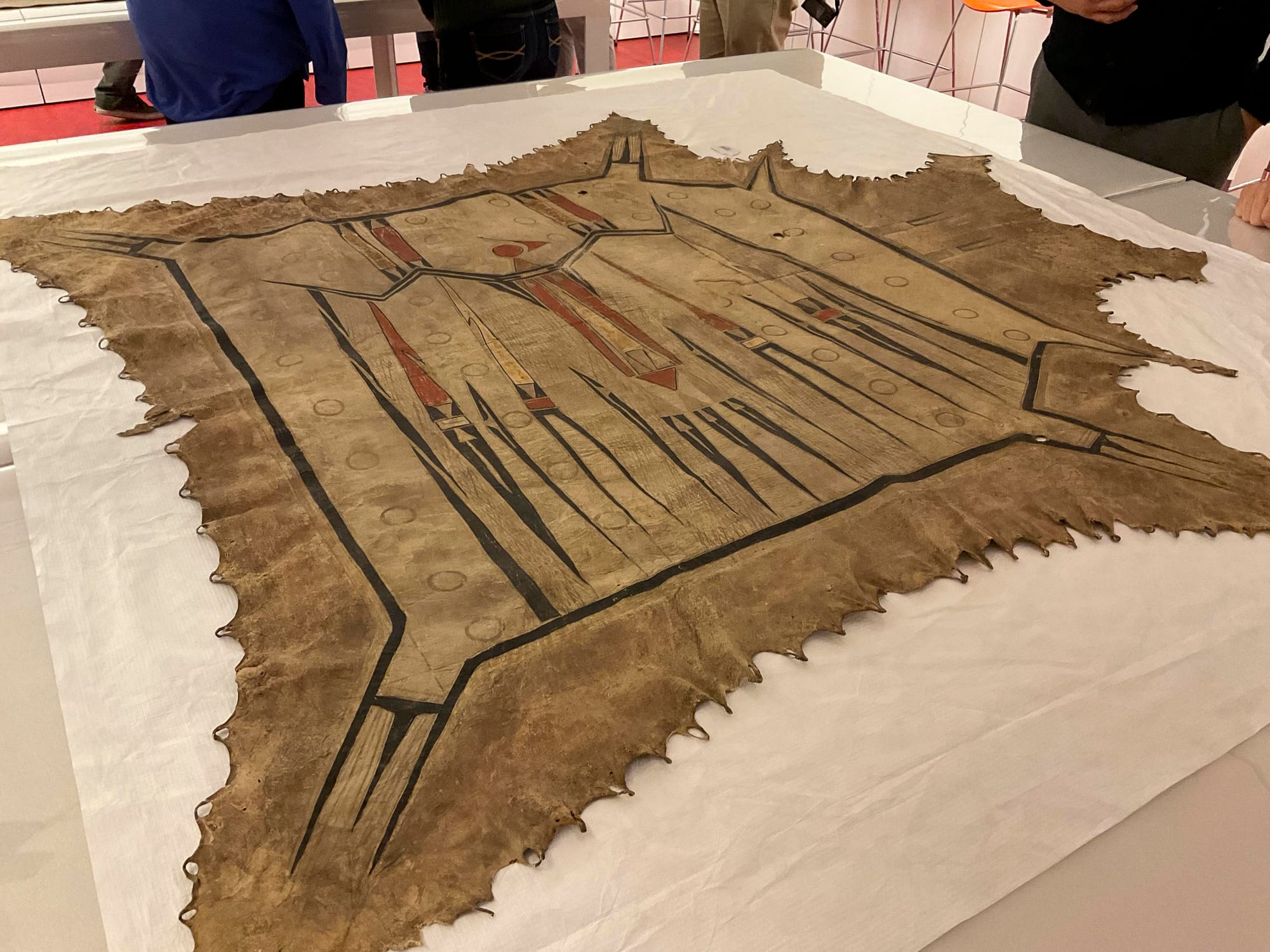 Ciinkwia minohsaya, ‘Painted Thunderbird Robe.’