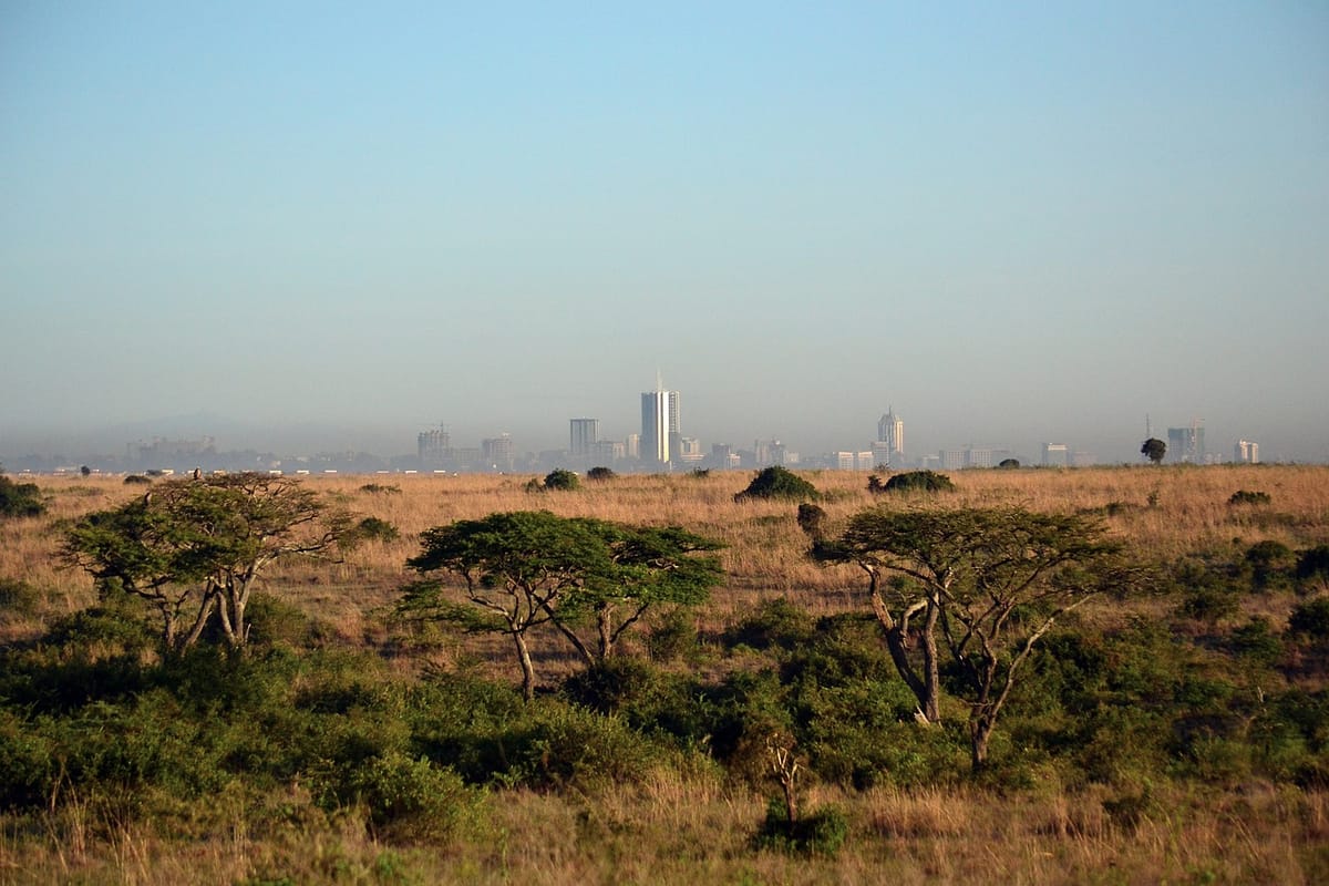 Observations: Kenya