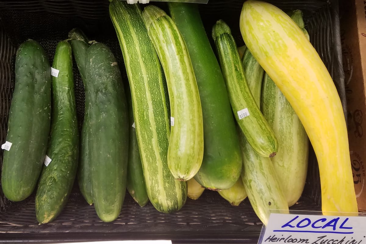 On My Plate: Zucchini