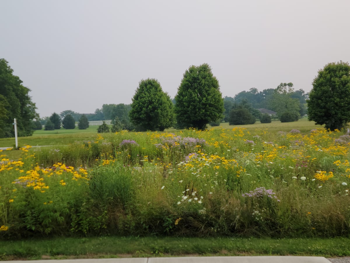 Growing Oxford's biodiversity, one gardener at a time