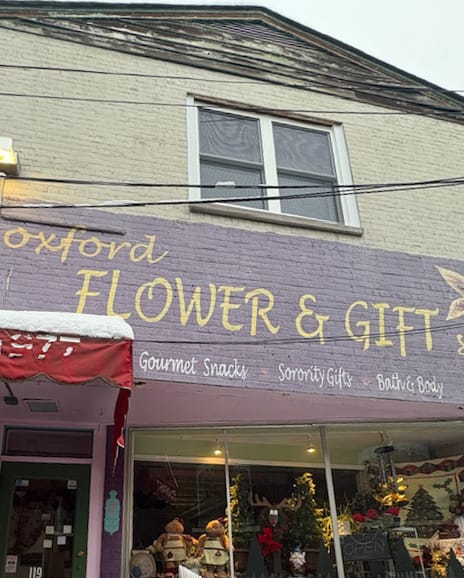 Two sisters and a flower shop