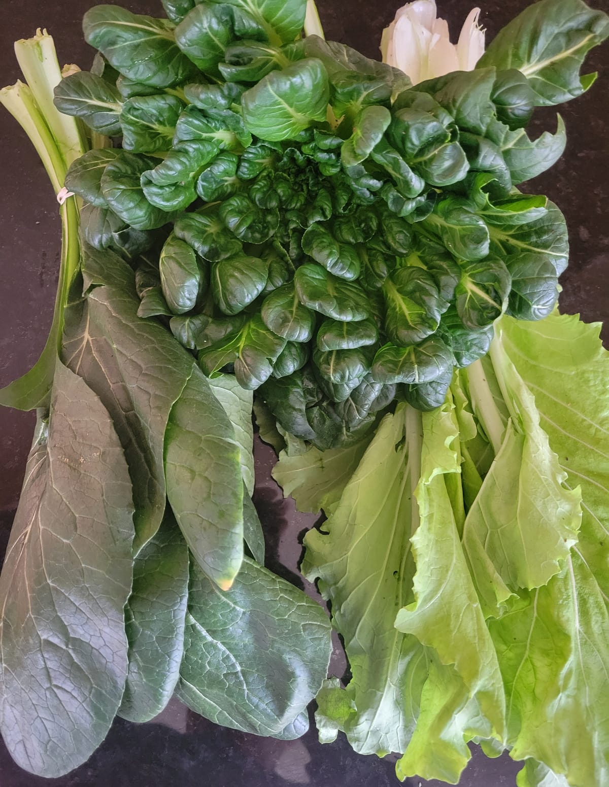 On My Plate: Exotic Asian greens