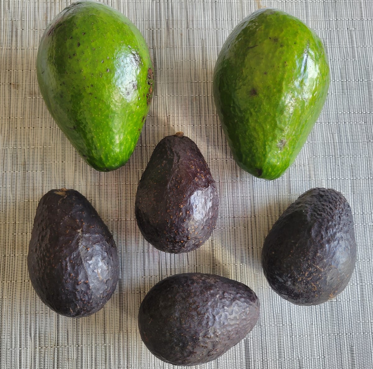 On My Plate: Avocados