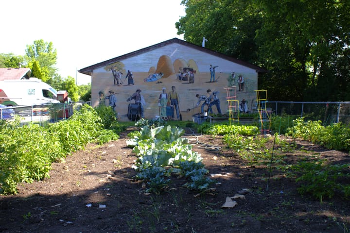 A vegetable garden has 4 rows of greens and on the building in the back there is a mural of farmers