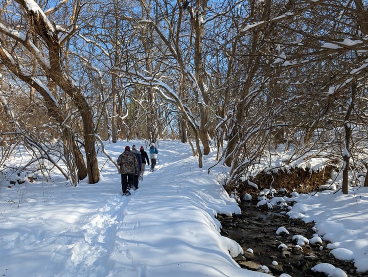 Four participants hike through snow in a forest