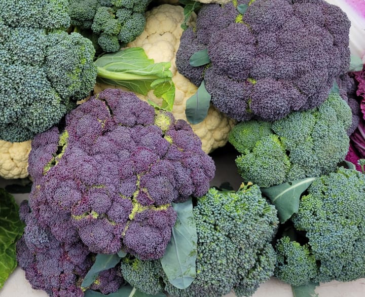 Purple and green broccoli at Oxford’s Farmers Market.