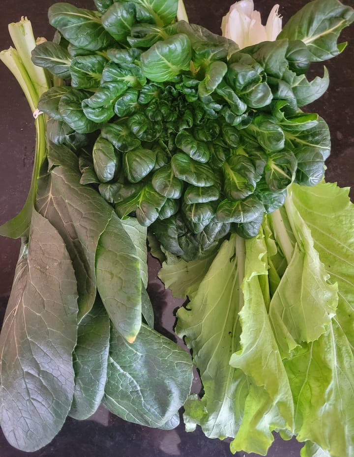 [clockwise from top] Tatsoi, Tokyo Bekana and Komatsuma. 