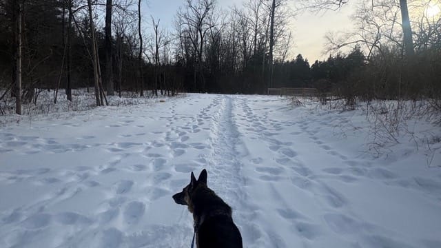 The Oxford Area Trails System (OATS) is covered in snow after multiple snowstorms in Oxford this winter